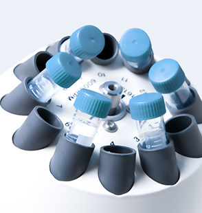 02. Stem Cell Extraction